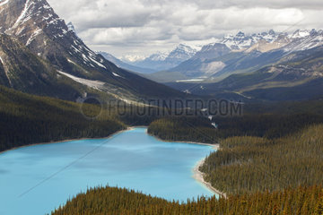 Peyto Lake - Banff Alberta Canada