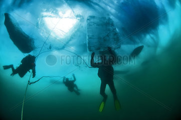 Divers under the ice  Lake Baikal  Siberia  Russia