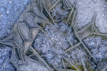 Ice marquetry in early winter  Lake Bellefontaine  Jura  France