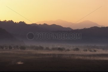 Sunrise Corbett NP Inde
