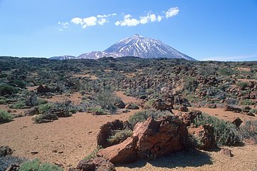 Sight on Teide Volcano Tenerife Canary Islands