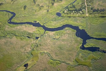 Luftaufnahme des Narew River Polen