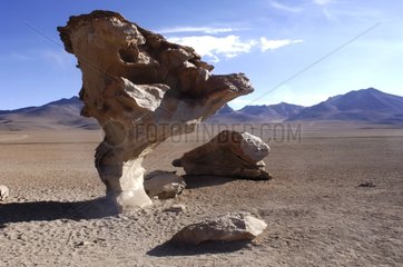 Tree of stone on the Altiplano Bolivia