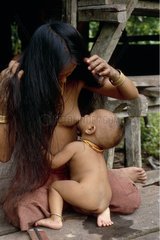 Mentawai woman nursing her child Siberut Sumatra