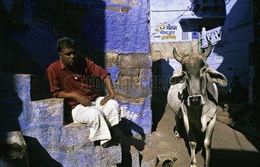 Mann und heilige Kuh in der StraÃŸe Jodhpur Rajasthan Indien