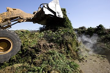 Entladen von Traktor auf einem grünen Abfallhaufen
