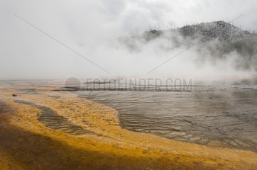 Grand Prismatic Spring in the Yellowstone NP Wyoming USA