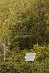Solar pannel in the rainforest of Blue River Park