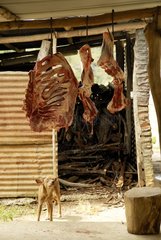 Dog and meat Tribu Gohapin Caledonia