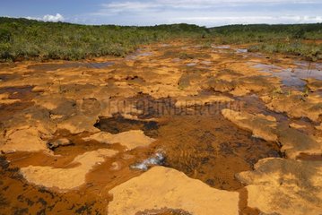 River Carenage on cuirass soil mineral scrub New Caledonia