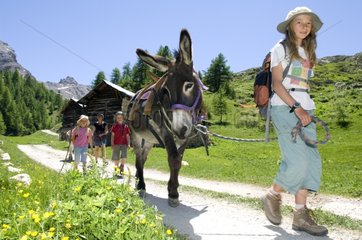 Walking with Donkey Cottage of Clapeyto Queyras Alps France