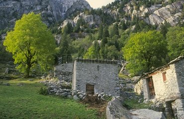 Traditional houses Mello Valley Lombardy Italy