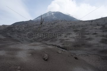 Desolation after the eruption of Pacaya volcano in Guatemala