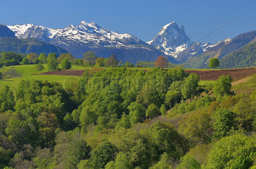 Bocage and Pic du Midi d'Ossau in the Spring. Bearn  Pyrenees  Spring
