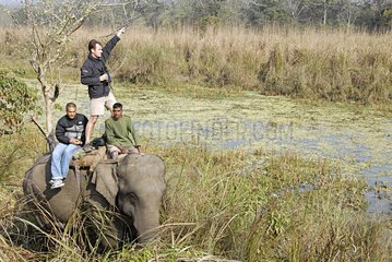 Radiotracking von flüchtendem Nashorn durch Wissenschaftler Nepal