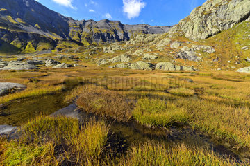 Bog of Vallon de Tre les eaux - Alpes France