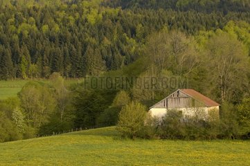Vieille ferme abandonnée dans la campagne France