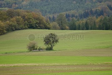 Agricultural plate of Villars-under-Share in autumn