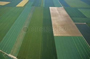 Air sight of a rural sculpture Picardie France [AT]
