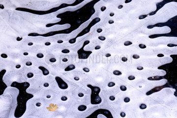 Grafiken  die vom Eis in einem kalten Teich erstellt wurden