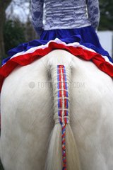 Braided tail of a horse before a horse show France