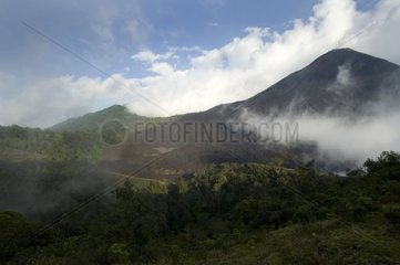 Forest on the Pacaya volcano in Guatemala