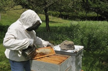 Opening the hive to control the harvest France