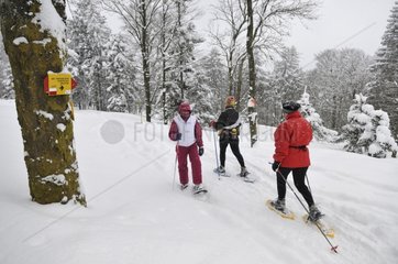 Snowshoeing on the GR5 path Ballon des Vosges France