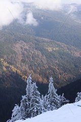 Hohneck mountains in winter France