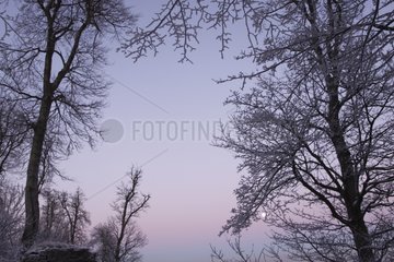 Twilight on Ochstenstein massif France