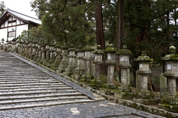 Stone lanterns of the Kasuga Taisha Shrine in Nara Japan
