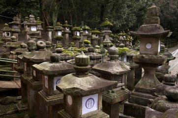 Stone lanterns of the Kasuga Taisha Shrine in Nara Japan
