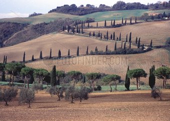 Landscape of the Orcia valley The FoceToscane Italy
