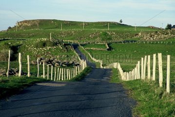 Minor road on the Aubrac plateau in spring Lozère France