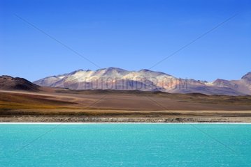 Laguna Verde und montiert Saricabur Altiplano Bolivie