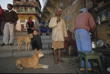 Chiens attendant de la nourriture Uttar Pradesh Inde