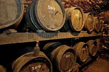 Vieillissement du vin dans des tonneaux en chêne Jura