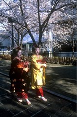 Kyoto  geishas dans les rues de Gion