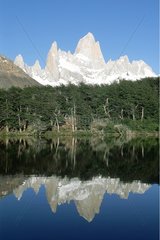 Argentine  Patagonie