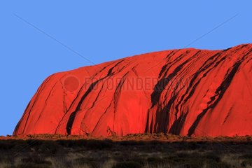 Ayers rock at sunset in the Uluru-Kata Tjuta NP Australia