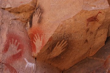 Peintures rupestres Cueva de las Manos Patagonie Argentine
