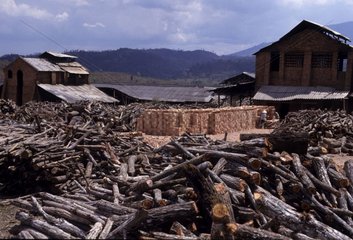 BRISCHETERY  die in Vietnam Holzfeuer operiert