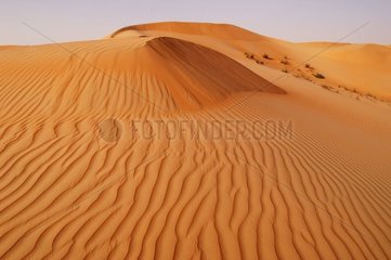 Arabische Emirate Sandwüste