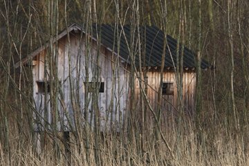 Birdwatching shed on a pond Luxembourg