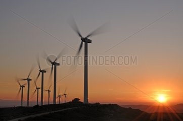 Windmühlen an der Sonnenaufgangsstelle Grande Garrigue Frankreich