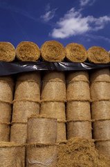 Stacks of straw in the Perche in July in the Orne