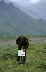 Ranger posing a ban panel Alaska range Denali NP USA