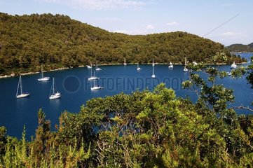 Bateaux de plaisance dans une anse de l'île de Mljet Croatie