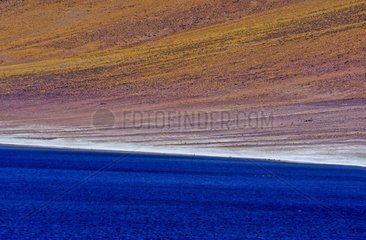 Gebiet des Lake Miniques des Anden Atacama Chile