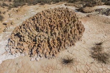 Rainfall erosion - Monegros Aragon Spain
